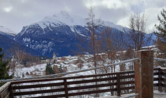 {{brizy_dc_image_alt entityId=